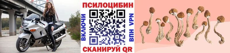магазин продажи   Рославль  Псилоцибиновые грибы Psilocybine cubensis 